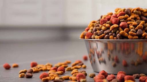 Myths and Facts on Healthy Dog Food