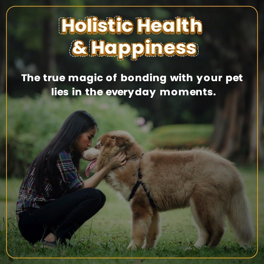 Bark Out Loud by Vivaldis - Fresh Chicken Immunity Chewstix Treats with Omega & Zinc for Overall Health & Vitality Stick for Dogs & Cats of All Life Stages Pack of 1 X 100 gm