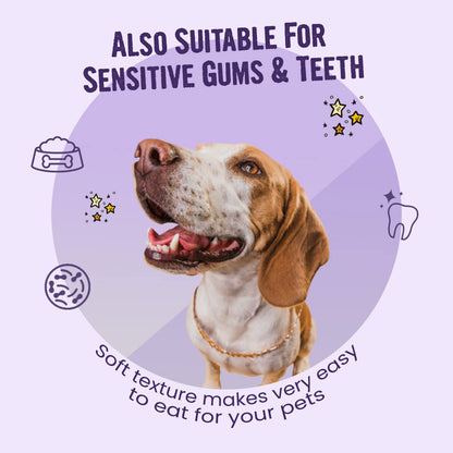 BARK OUT LOUD All Life Stages Coatiez Soft Chews Dog Granule Treats For Shiny Skin And Coat-Enriched With Omega Fatty Acids, Prebiotics, And Rich In Chicken Protein-100Gm