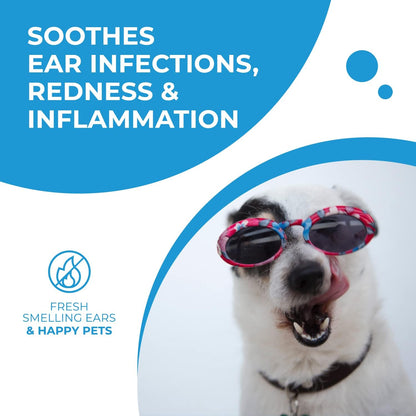 Vivaldis Clearify -Tris EDTA - Ear Cleansing Solution for Dogs and Cats, Effective and Gentle Ear Cleaner for Pets to Remove Dirt and Wax (100 ml, Pack of 1)