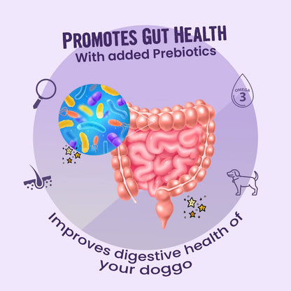 BARK OUT LOUD All Life Stages Coatiez Soft Chews Dog Granule Treats For Shiny Skin And Coat-Enriched With Omega Fatty Acids, Prebiotics, And Rich In Chicken Protein-100Gm