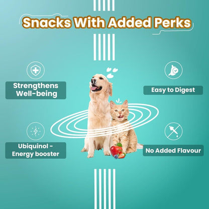 Bark Out Loud by Vivaldis - Fresh Chicken Immunity Chewstix Treats with Omega & Zinc for Overall Health & Vitality Stick for Dogs & Cats of All Life Stages Pack of 1 X 100 gm