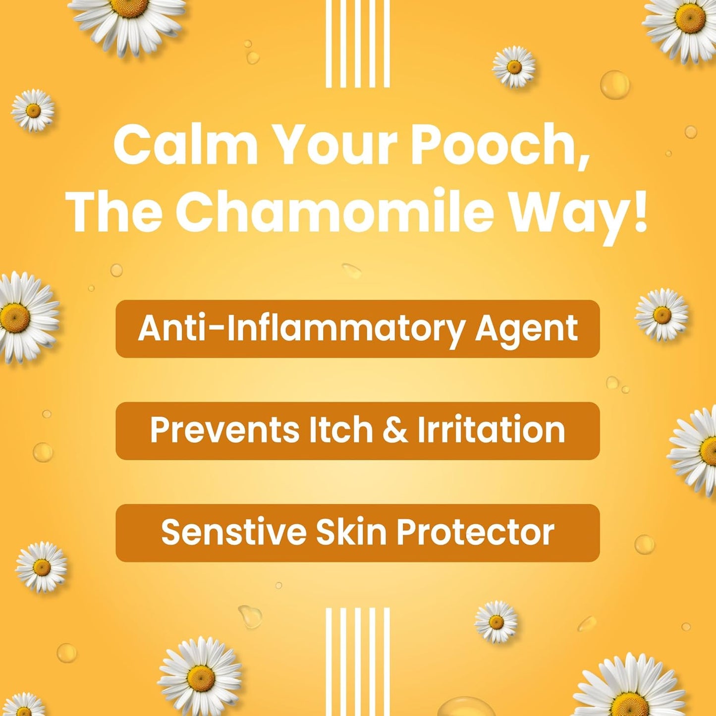 Bark Out Loud by Vivaldis - Dog Shed Control Shampoo for Shed-Free Bliss & Radiant Coat (200 ml)