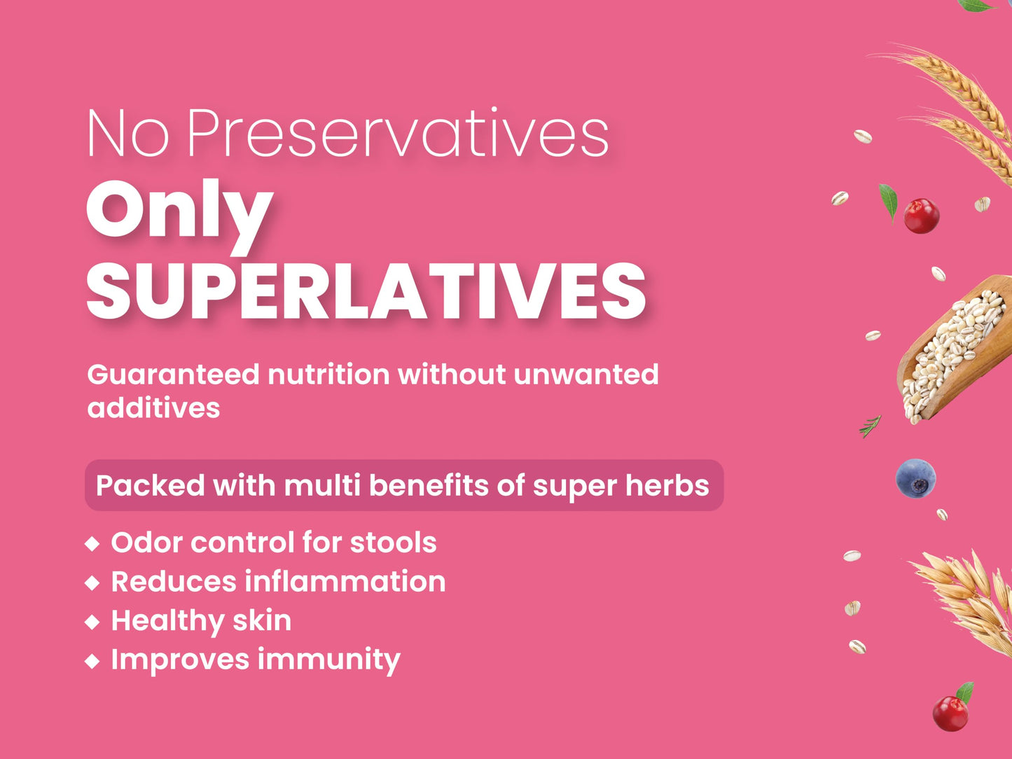 Bark Out Loud by Vivaldis - Salmon & Turkey, Adult Dry Dog Food, Low Grain, Hypoallergenic, Rich in Novel Protein and Prebiotics, Fresh Salmon, Super Herbs, All 9kg Breeds & Above (2kg Pack)