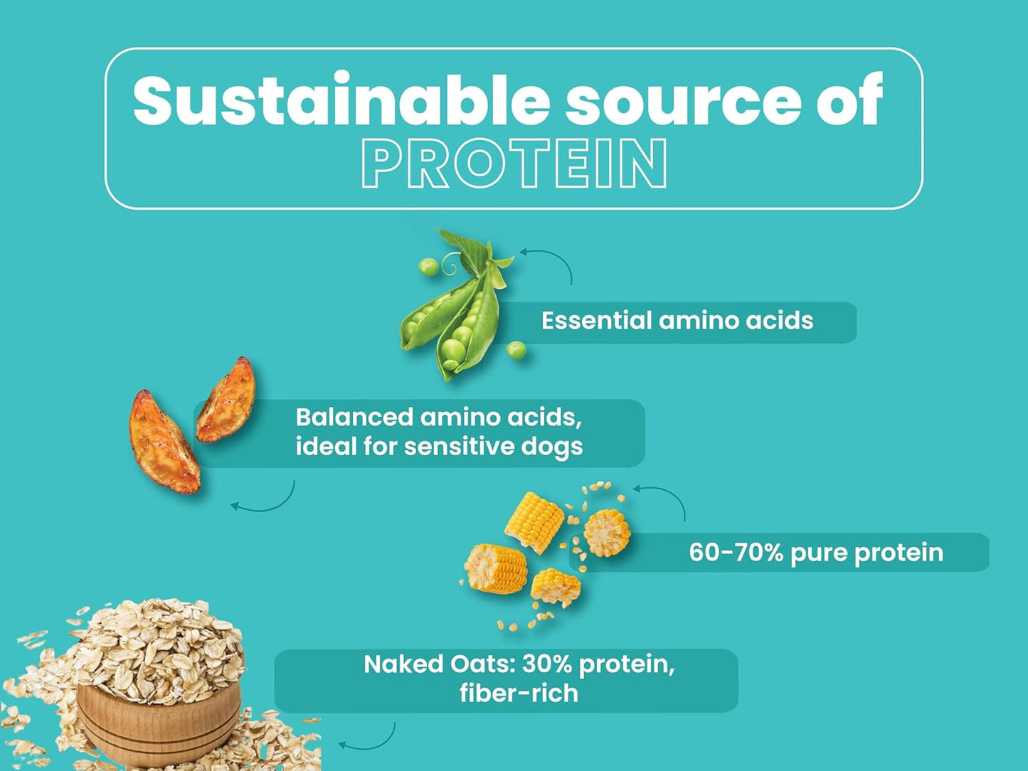 BARK OUT LOUD By Vivaldis-Naked Oats & Veggies, Veg Dry Adult Dog Food For All Breeds 9Kgs+, Rich In Plant Protein, Prebiotics & Probiotics, Vitamins & Fibre, 2Kg