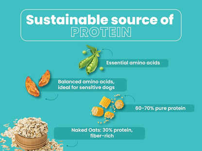 BARK OUT LOUD By Vivaldis-Naked Oats & Veggies, Veg Dry Adult Dog Food For All Breeds 9Kgs+, Rich In Plant Protein, Prebiotics & Probiotics, Vitamins & Fibre, 2Kg