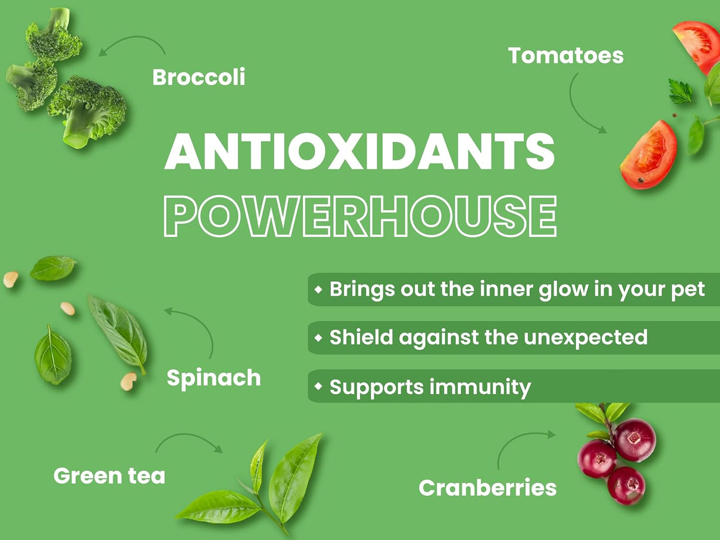 BARK OUT LOUD By Vivaldis-Naked Oats & Veggies, Veg Dry Adult Dog Food For All Breeds 9Kgs+, Rich In Plant Protein, Prebiotics & Probiotics, Vitamins & Fibre, 2Kg