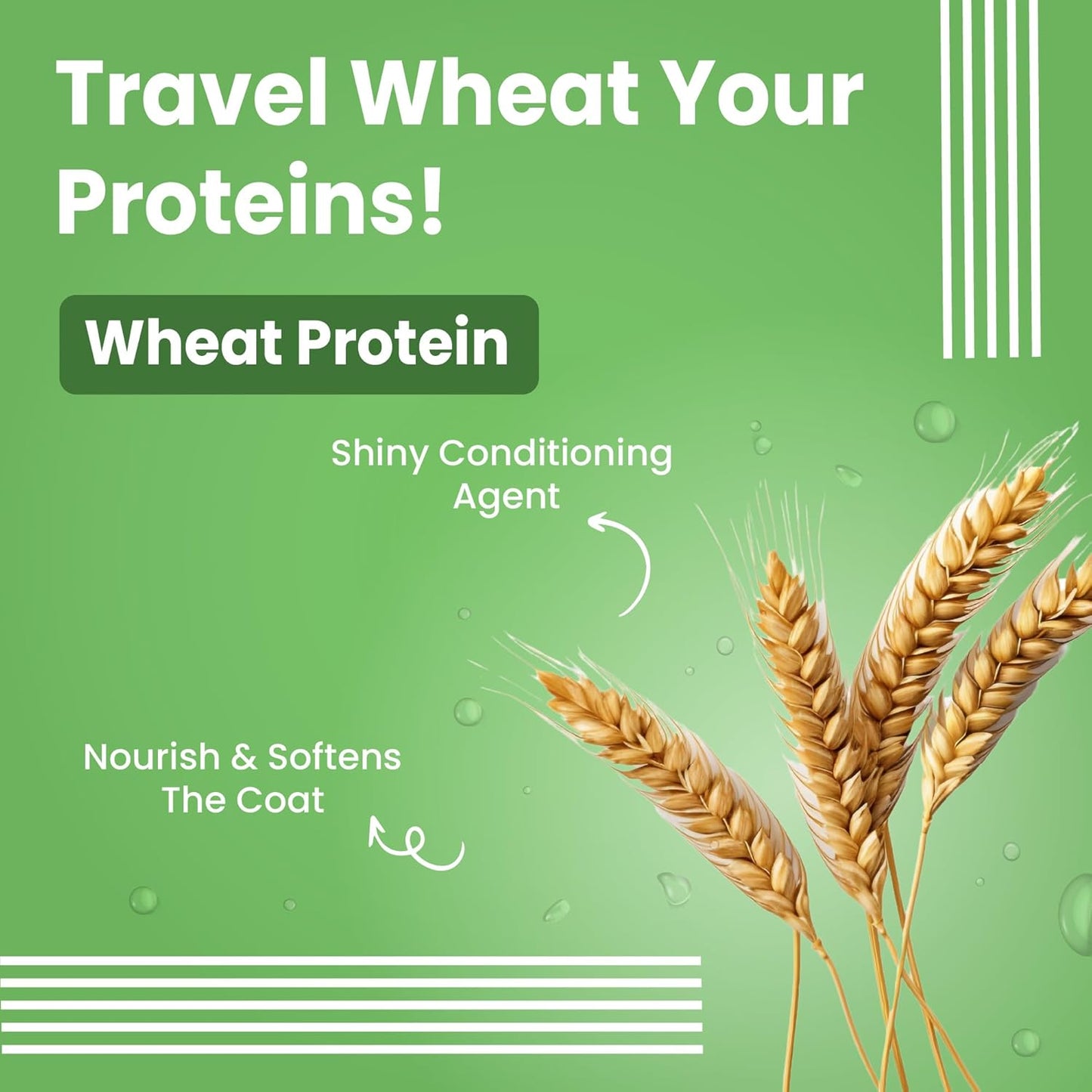 Bark out Loud by Vivaldis -Waterless Dog Dry Shampoo/Spray, No Rinse Cleansing, with Aloevera, Grain Protein, Lavender, Anti bacterial, Itch Relief Formula for Coat Care (100ml)