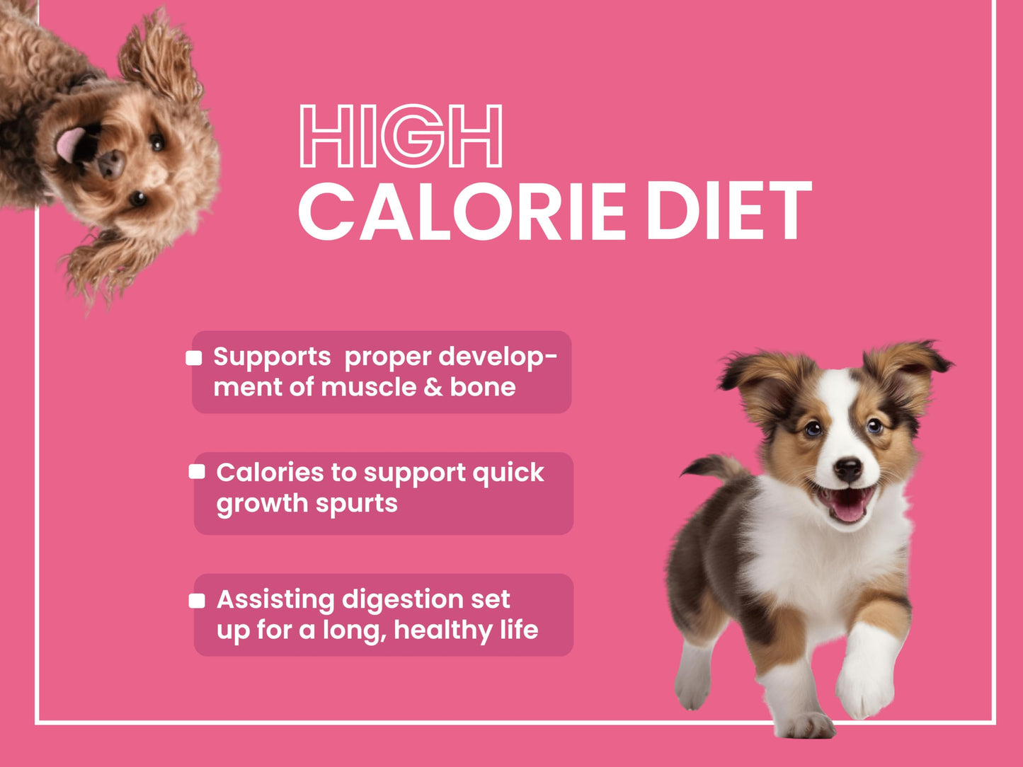 Bark Out Loud by Vivaldis - Chicken & Ancient Grains Puppy Dry Dog Food for All Breeds, Rich in Chicken Protein, Nutrients, Antioxidant and Growth Herbs, 2kg Pack