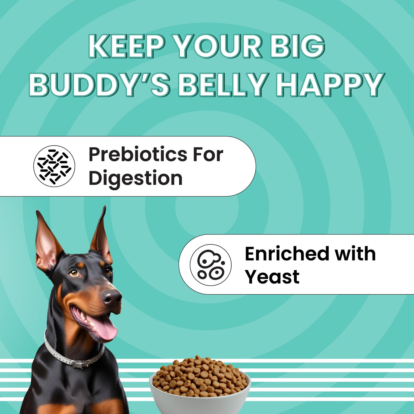 BARK OUT LOUD ESSENTIALS , Vivaldis - Adult Dry Dog Food, Tailored Nutrition for Medium Large Breeds, Chicken & Egg, Kibbles with Prebiotics, Fish Oil for Immunity (3kg)