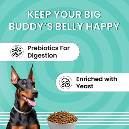 BARK OUT LOUD ESSENTIALS , Vivaldis - Adult Dry Dog Food, Tailored Nutrition for Medium Large Breeds, Chicken & Egg, Kibbles with Prebiotics, Fish Oil for Immunity (3kg)