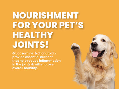 Bark Out Loud by Vivaldis - Chicken & Ancient Grains Puppy Dry Dog Food for All Breeds, Rich in Chicken Protein, Nutrients, Antioxidant and Growth Herbs, 2kg Pack