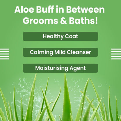 Bark out Loud by Vivaldis -Waterless Dog Dry Shampoo/Spray, No Rinse Cleansing, with Aloevera, Grain Protein, Lavender, Anti bacterial, Itch Relief Formula for Coat Care (100ml)