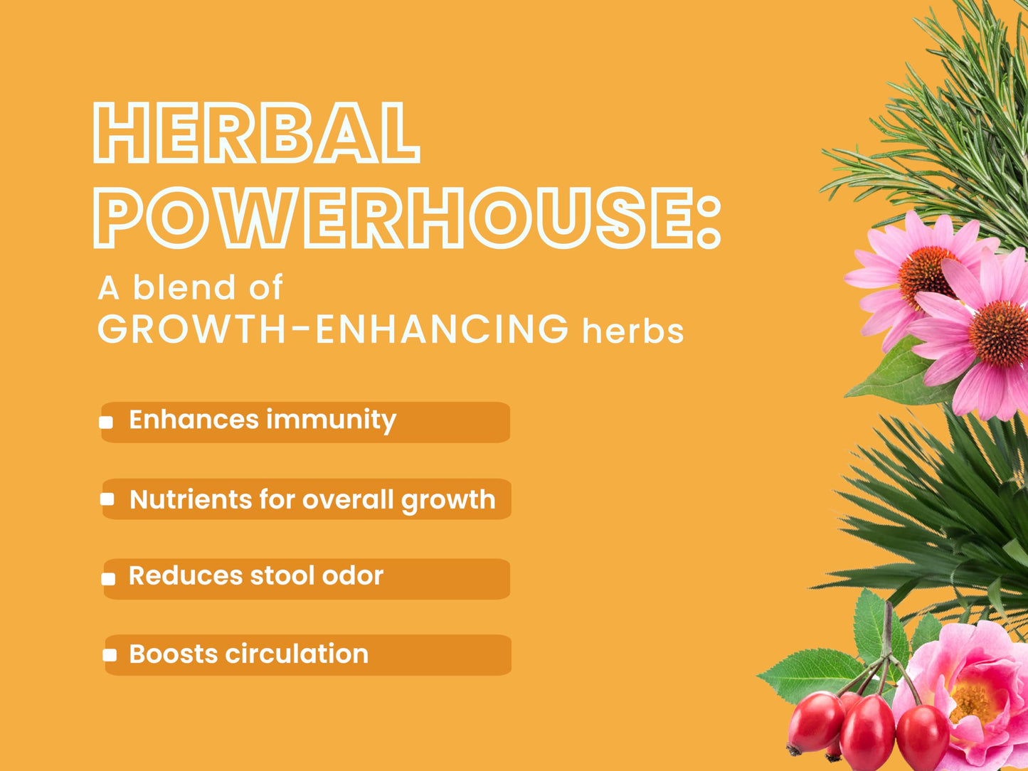 Bark Out Loud by Vivaldis - Chicken & Ancient Grains Puppy Dry Dog Food for All Breeds, Rich in Chicken Protein, Nutrients, Antioxidant and Growth Herbs, 2kg Pack