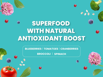 Bark Out Loud by Vivaldis - Salmon & Turkey, Adult Dry Dog Food, Low Grain, Hypoallergenic, Rich in Novel Protein and Prebiotics, Fresh Salmon, Super Herbs, All 9kg Breeds & Above (2kg Pack)