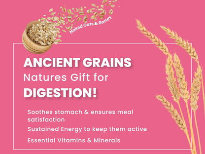 Bark Out Loud by Vivaldis - Chicken & Ancient Grains, Adult Dry Dog Food Rich in Protein, Antioxidants Fibre, Prebiotics & Herbs for 8kg+ Medium & Large Dogs - (Pack of 2 kg)