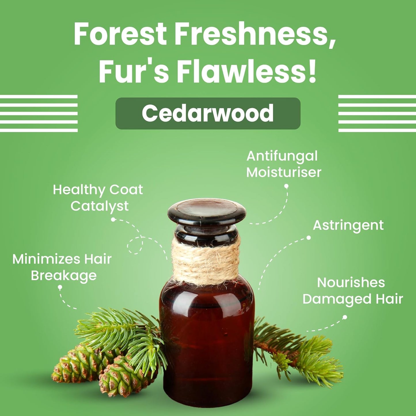 Bark Out Loud by Vivaldis - Shiny Coat Dog Shampoo for Radiant Fur (200ml)