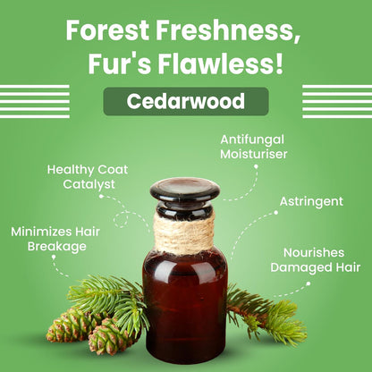 Bark Out Loud by Vivaldis - Shiny Coat Dog Shampoo for Radiant Fur (200ml)