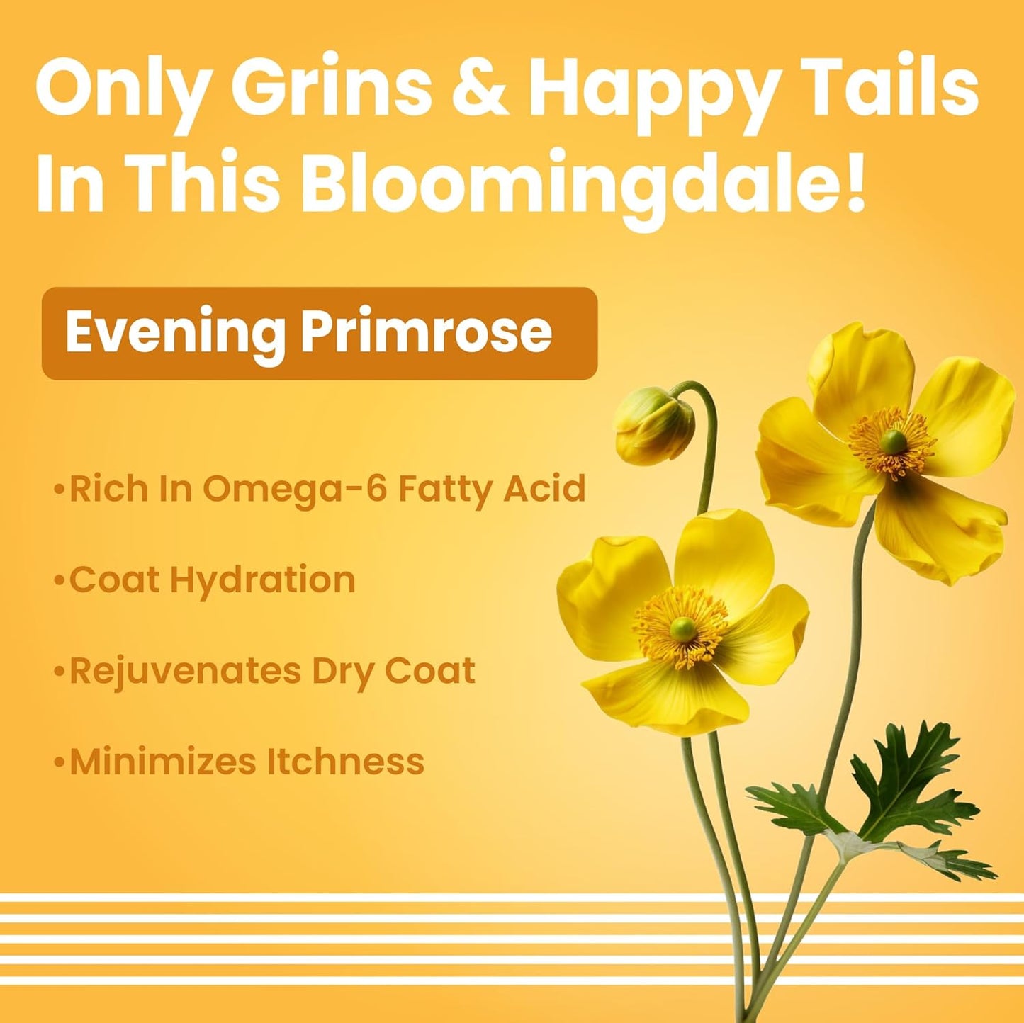 Bark Out Loud by Vivaldis - Dog Shed Control Shampoo for Shed-Free Bliss & Radiant Coat (200 ml)