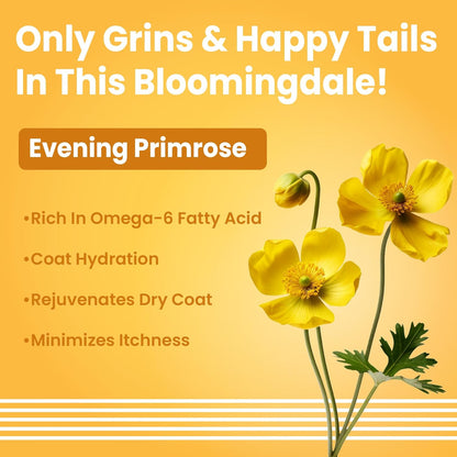 Bark Out Loud by Vivaldis - Dog Shed Control Shampoo for Shed-Free Bliss & Radiant Coat (200 ml)