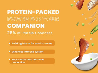 Bark Out Loud by Vivaldis - Chicken & Ancient Grains, Adult Dry Dog Food Rich in Protein, Antioxidants Fibre, Prebiotics & Herbs for 8kg+ Medium & Large Dogs - (Pack of 2 kg)