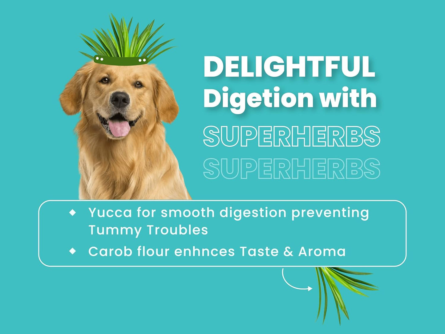 Bark Out Loud by Vivaldis - Chicken & Ancient Grains, Adult Dry Dog Food Rich in Protein, Antioxidants Fibre, Prebiotics & Herbs for 8kg+ Medium & Large Dogs - (Pack of 2 kg)