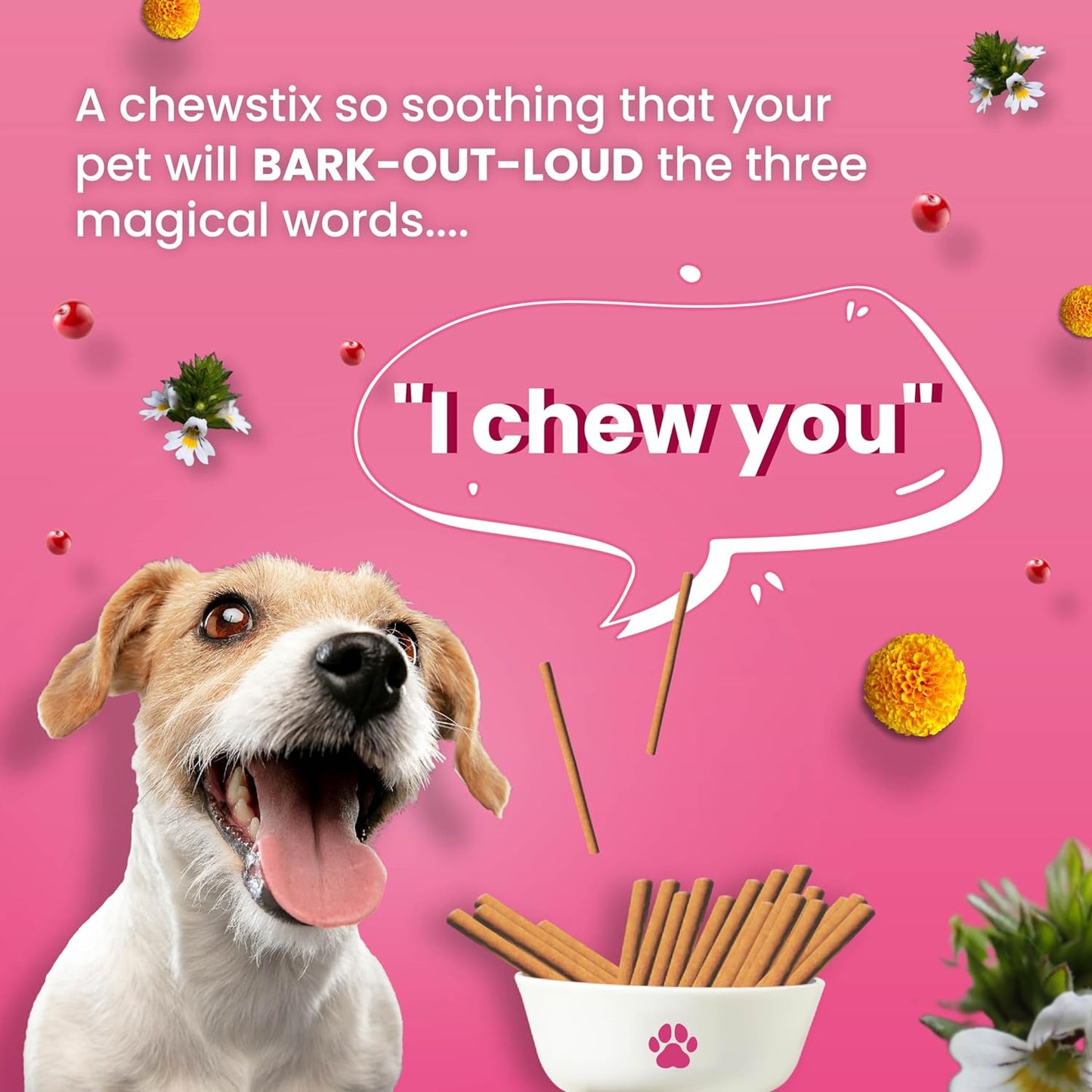 Bark Out Loud by Vivaldis - Tear Stains Eyebright Chewstix | Active Marigold Extract, Rich in Omega FA for Dog, 100 gm Dog Treats