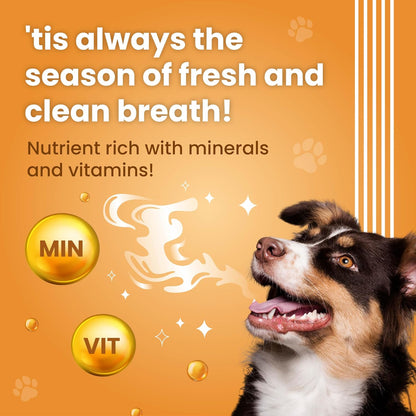 Bark Out Loud by Vivaldis - Dental Sticks Sugar Free Adult Dog Treats Controls Plaque Tartar & Odourfor Dog Oral Care Chicken Dog Treats 110 GMS