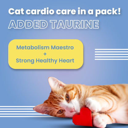 Bark Out Loud by Vivaldis - Cat Pillow Treats |Hairball Control | Added Taurine, Vitamin E for Cats 100g