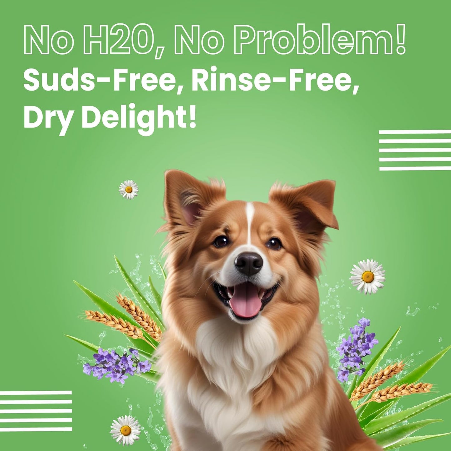 Bark out Loud by Vivaldis -Waterless Dog Dry Shampoo/Spray, No Rinse Cleansing, with Aloevera, Grain Protein, Lavender, Anti bacterial, Itch Relief Formula for Coat Care (100ml)