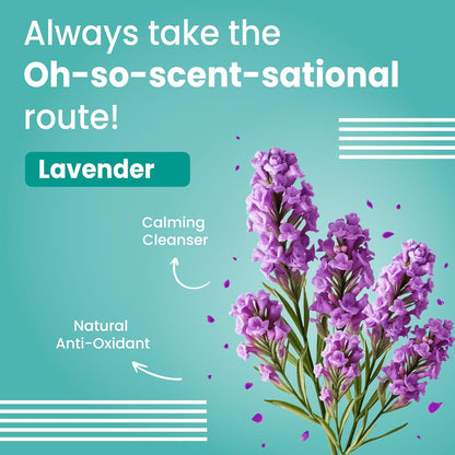 Bark Out Loud by Vivaldis - Tick & flea Shampoo for Dogs & Cats, with Neem & Citronella, kills and repels parasites, itch-relief formula shampoo for cats & dogs - 200ml