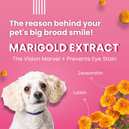 Bark Out Loud by Vivaldis - Tear Stains Eyebright Chewstix | Active Marigold Extract, Rich in Omega FA for Dog, 100 gm Dog Treats