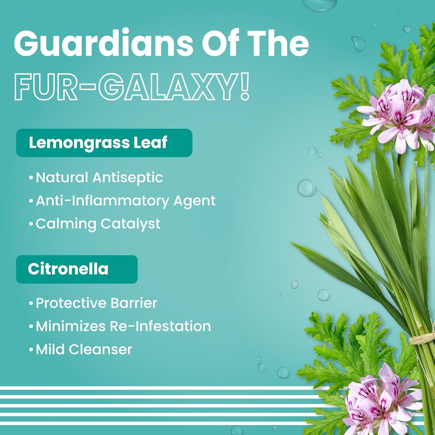 Bark Out Loud by Vivaldis - Tick & flea Shampoo for Dogs & Cats, with Neem & Citronella, kills and repels parasites, itch-relief formula shampoo for cats & dogs - 200ml