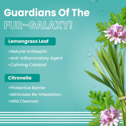 Bark Out Loud by Vivaldis - Tick & flea Shampoo for Dogs & Cats, with Neem & Citronella, kills and repels parasites, itch-relief formula shampoo for cats & dogs - 200ml